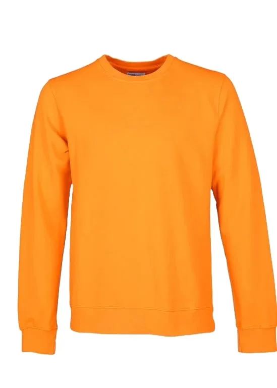 Colorful Standard Felpa da uomo girocollo CS1005