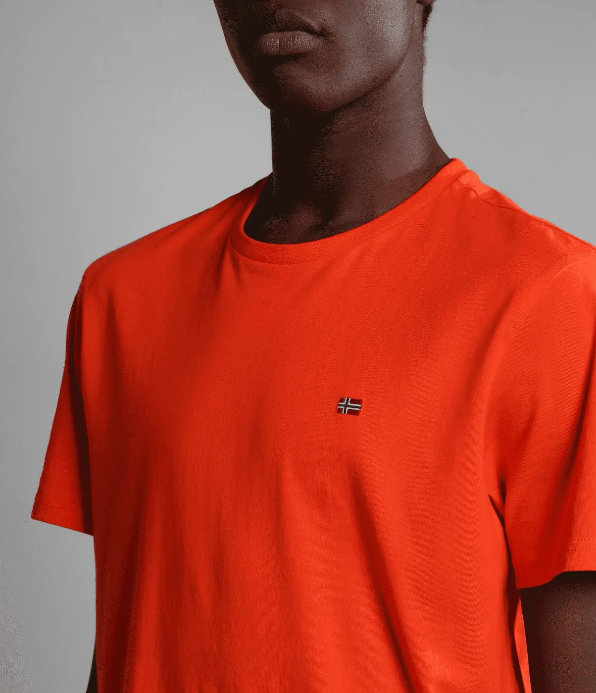 T-SHIRT A MANICA CORTA DA UOMO NAPAPIJRI SALIS SUM RED CHERRY R05 NP0A4H8D R05